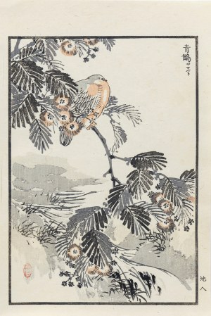 Kōno Bairei (1844-1895), Na gałęzi, wyd. Ōkura Magobei, Tokio/Japonia, 1881 r.