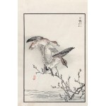 Kōno Bairei (1844-1895), A pair of ducks, published by Ōkura Magobei, Tokyo/Japan, 1881.
