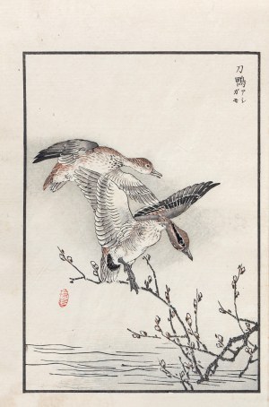 Kōno Bairei (1844-1895), Para kaczek, wyd. Ōkura Magobei, Tokio/Japonia, 1881 r.