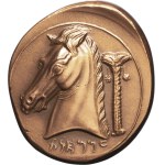 Sicily, Siculo-Punic issues. Medal, enlargement of a tetradrachm struck at Entella 1971 [after an original from 320-300 B.C.], Paris.