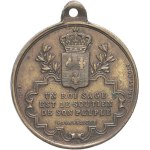 Henri V (1820-1883). Medal, Henri de France comte de Chambord, by E. Mineur ND (c. 1870).