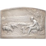 IIIe République (1870-1940). Plaque, Société amicale de la Marne, by E. Moulin 1920, Paris.