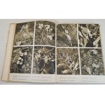 TATRY photographs by K.Celba, B.Straka, publ.1954 [ALBUM].