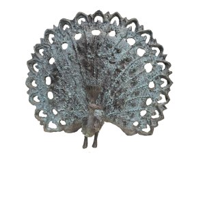 Bronislaw Chromy  Peacock 