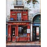 JAN STOKFISZ DELARUE  PHARMACIE 