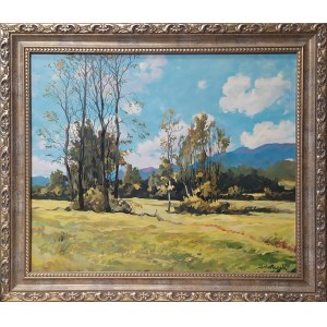 Janusz Salwierak  Paesaggio 