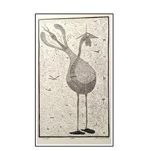 JAN NOVAK  BIRD 