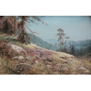 Zygmunt Kaczówka, Paysage de montagne
