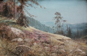 Zygmunt Kaczówka, Pejzaż górski