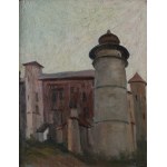 Jan Kazimierz Olpiński, Zamek w Wiśniczu