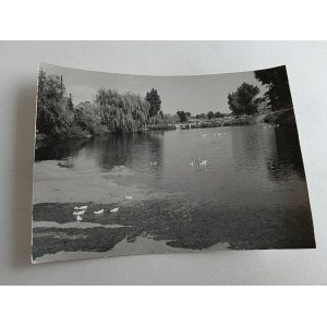 PHOTO WITASZYCE PONDS, FOT MYSTKOWSKI KACZKOWSKI, STAMP