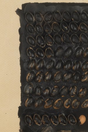 Andrzej Szewczyk (1950 Szopienice - 2001 Cieszyn), Bez tytułu, 1992