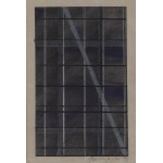 Joshua (Jerzy) Budziszewski Benor (1950 - 2006 Paris), Satz von 10 Werken und Poster, 1994