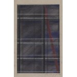 Joshua (Jerzy) Budziszewski Benor (1950 - 2006 Paris), Satz von 10 Werken und Poster, 1994