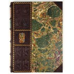 WITKIEWICZ - NA PRZEŁĘCZY 1891r. woodcuts, beautiful binding
