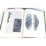 [HISTOIRE DE L'HUMANITÉ ET HISTOIRE DES ÉTATS DE L'EST