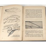 DEMIANOVICH - BEES THEIR LIFE AND HUSBANDRY