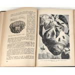 DEMIANOVICH - BEES THEIR LIFE AND HUSBANDRY