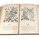 DEMIANOVICH - BEES THEIR LIFE AND HUSBANDRY