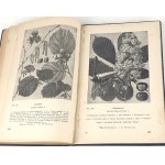 DEMIANOVICH - BEES THEIR LIFE AND HUSBANDRY