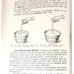 DEMIANOVICH - BEES THEIR LIFE AND HUSBANDRY
