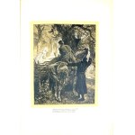 MICKIEWICZ- PAN TADEUSZ z illustracjami E. M. Andriollego OPRAWA folio