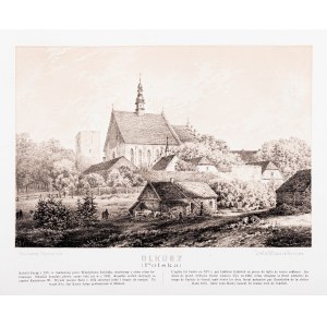 Napoleon Orda, Olkusz