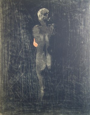 Paweł Naumowicz, INSOMNIA 1, 2009 r.