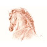 Ewa Jaworska, sanguine equine 21, 2025