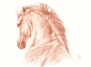 Ewa Jaworska, sanguine equine 21, 2025