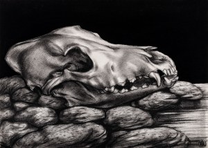 Adam Konstanty Hoffmann, Portret przodka, 1975