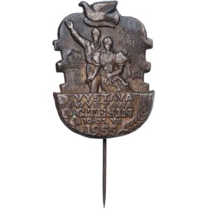 Odznaka, Czeski Cieszyn, Wystawa 10-31.VII 1955