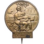 Badge, Czech Republic: "Czech Poet
