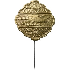 Odznaka, Cieszyn  Zlot sokoli 1923