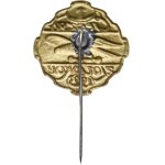 Badge, Cieszyn, "1923 Falcon Rally"