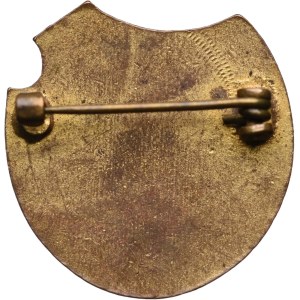 Enameled Cieszyn Badge