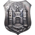 Cieszyn, City of Cieszyn Coat of Arms Pin