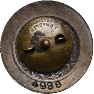 Odznaka, Cieszyn Za obronę Śląska 1919