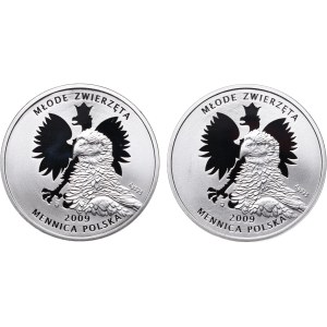 Medale, zestaw Młode Zwierzęta - Wilk, Jaszczurka zielona (2szt.)