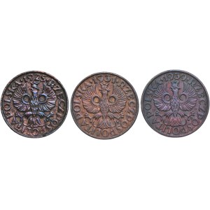 Second Polish Republic, set of 2 grosze coins from 1925, 1931, and 1939 (3 pieces)