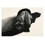 Agnieszka LECH-BIÑCZYCKA (b. 1984), Source (in tribute to A. Rodin), 2025