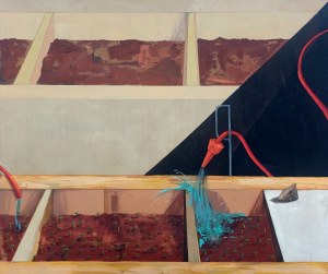 Anna MARCINIAK (ur. 1984), Zasiewnik - pikowanie sadzonek i rozsada, dyptyk, 2010