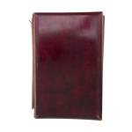 Carved-frame briefcase with Janosik