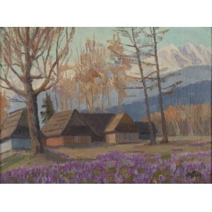 Franciszek Wójcik (1903 Wojciechowo - 1984 Zakopane), Zakopane landscape with crocuses
