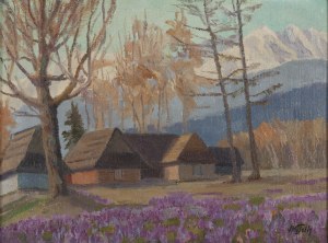 Franciszek Wójcik (1903 Wojciechowo - 1984 Zakopane), Pejzaż zakopiański z krokusami