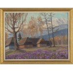 Franciszek Wójcik (1903 Wojciechowo - 1984 Zakopane), Zakopane landscape with crocuses