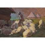 Zefiryn Ćwikliński (1871 Lviv - 1930 Zakopane), Juhas with sheep, 1923