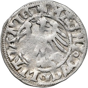 Alexander Jagiellonian, Half-penny, Vilnius, ALEXAND'