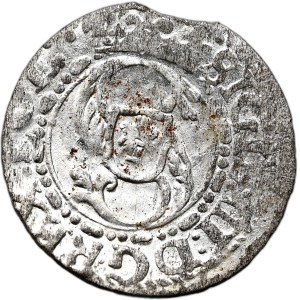 Sigismund III Vasa, Shelly 1616, Riga
