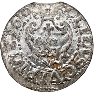 Sigismund III Vasa, Shelly 1616, Riga